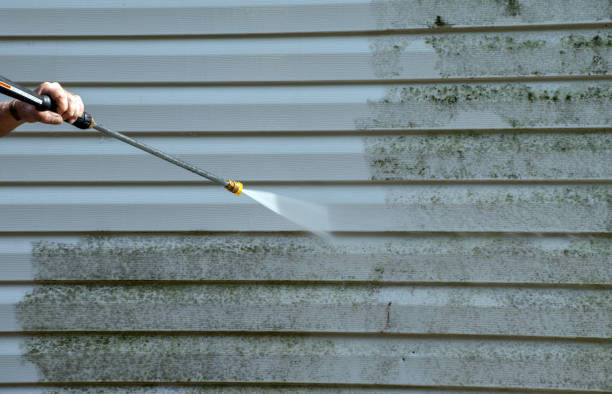 Trusted Wallis, TX Pressure Washing Experts