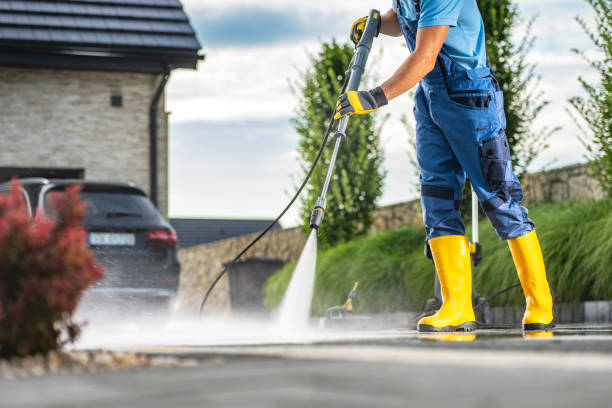 Best Roof Washing  in Wallis, TX